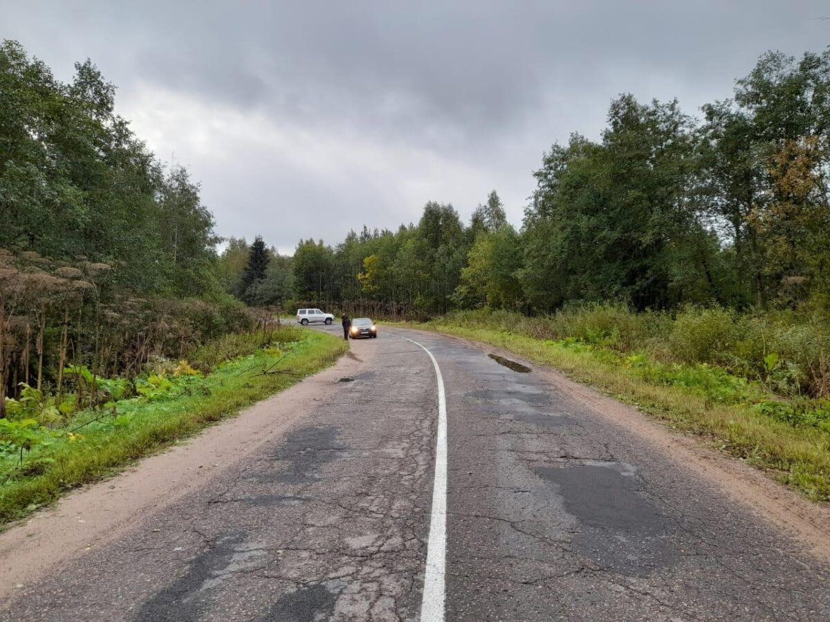 Пешеход погиб под колёсами автомобиля в Тверской области